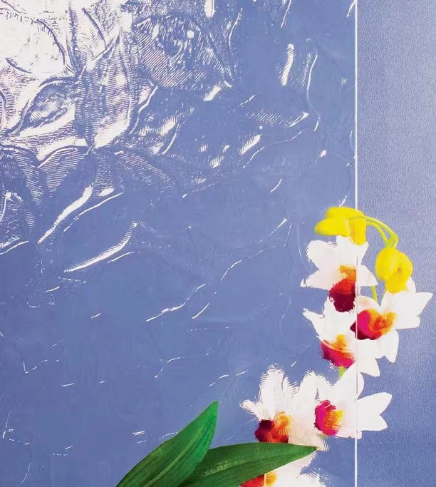 Impact Resistant Tempered Shower Room Glass