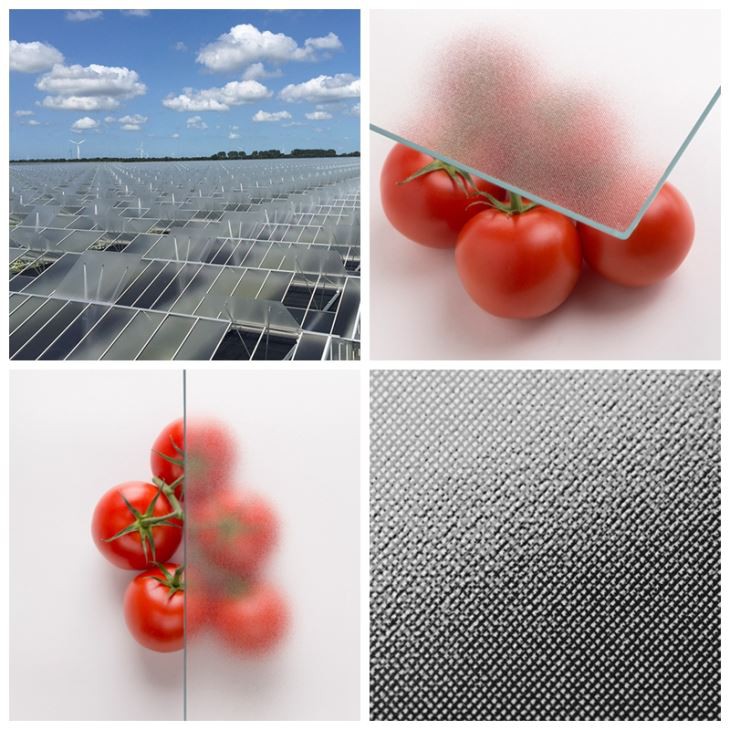 4mm ultra clear Low iron prismatic greenhouse glass