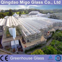 4mm Gloine Tempered le haghaidh Cheaptha Teasa Tráchtála